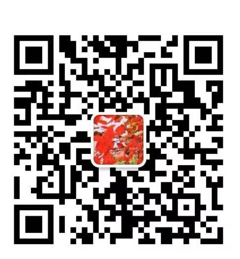 微信扫码加医生