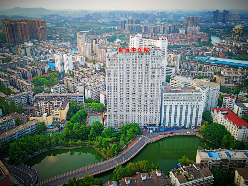 芦淞院区鸟瞰图