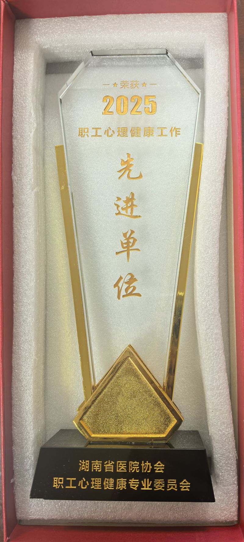 守护白衣天使“心”防线——我院获评省级职工心理健康工作先