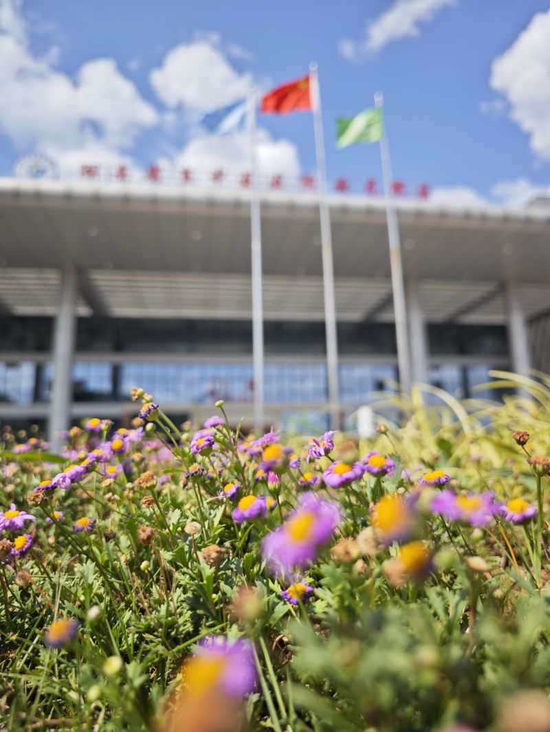 云龙院区 国旗广场