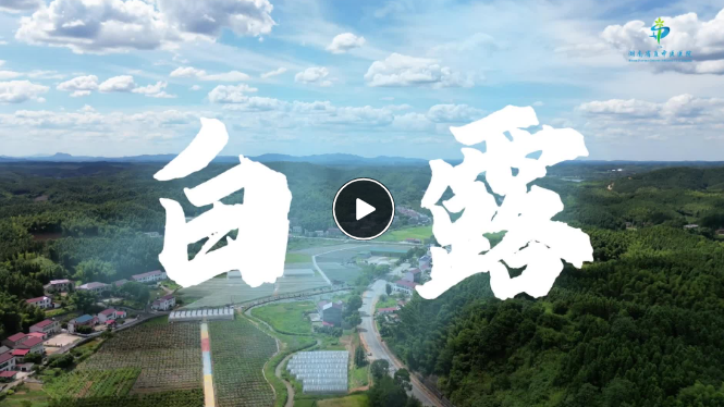 视频 | 二十四节气之白露·清润养肺