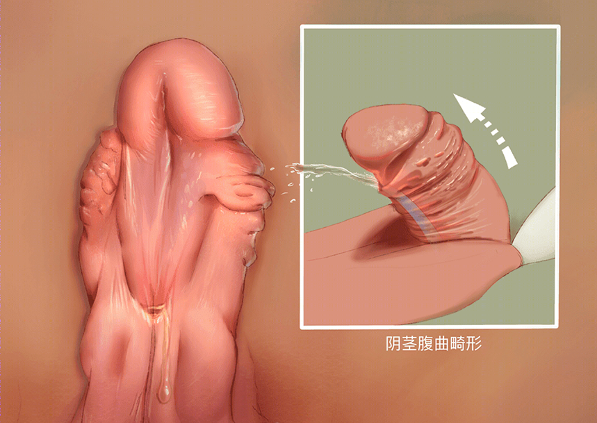微信图片_20200602083743.png