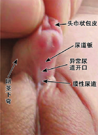 微信图片_20200602083746.png