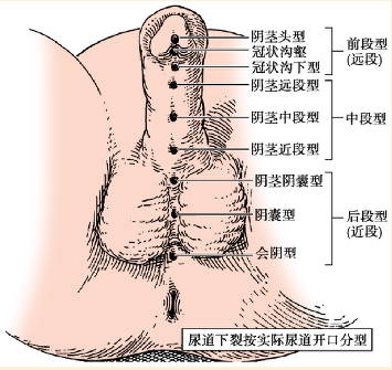 微信图片_20200602083753.png