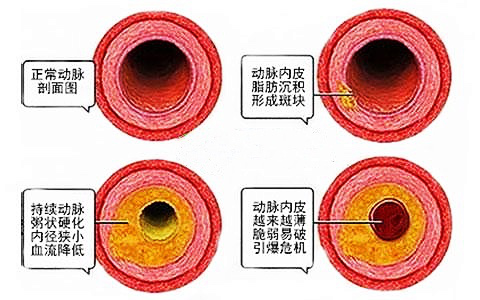 微信图片_20200831094234.png