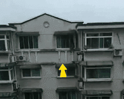微信图片_20200929083230.gif